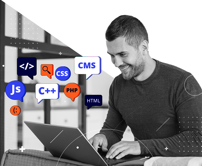 web-development-wordpress
