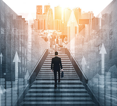 wp-zenzo-website-development-1